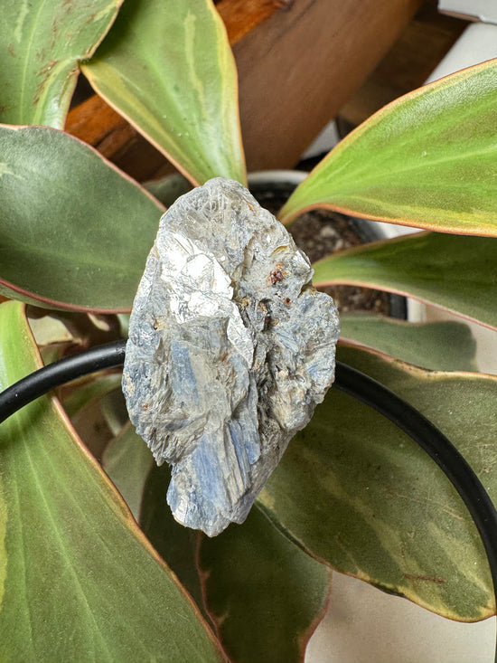 Ginger Trellis Kyanite