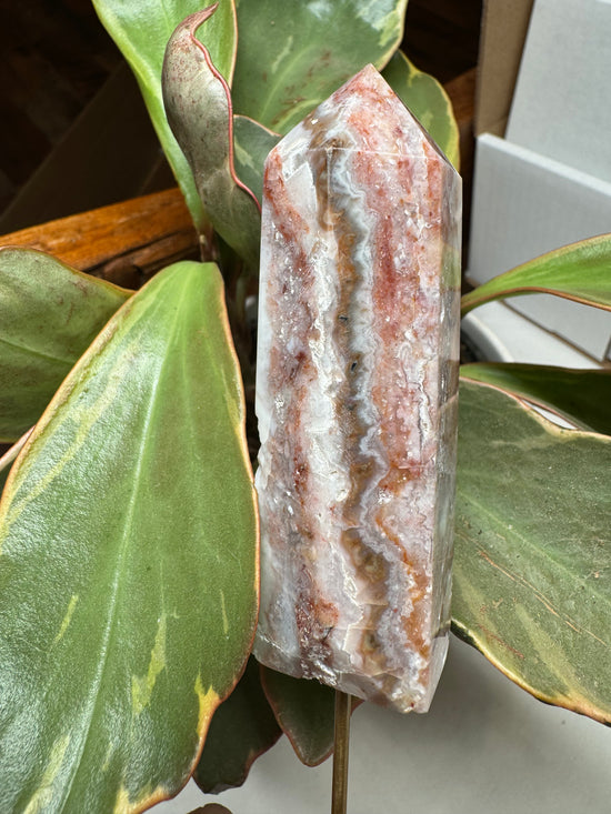 Mexican Lace Agate