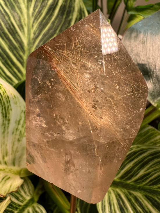 Gold Rutilated Quartz