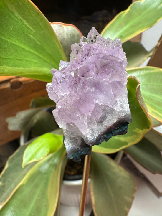 Katrina Mini Amethyst