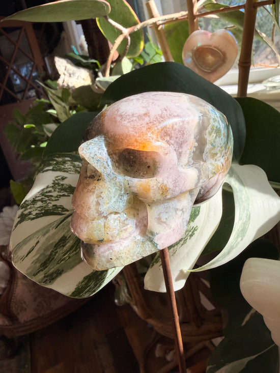 Rare Flower Agate & Moss Agate Skull