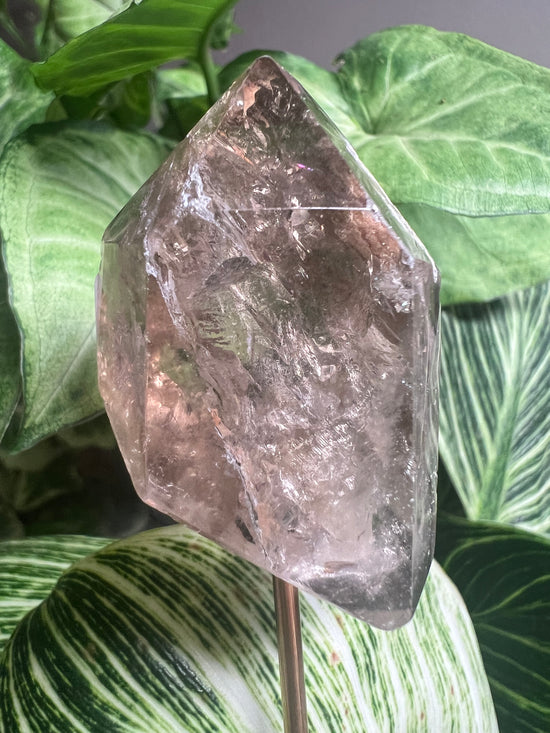 Garden Smokey Quartz Plant Crystal