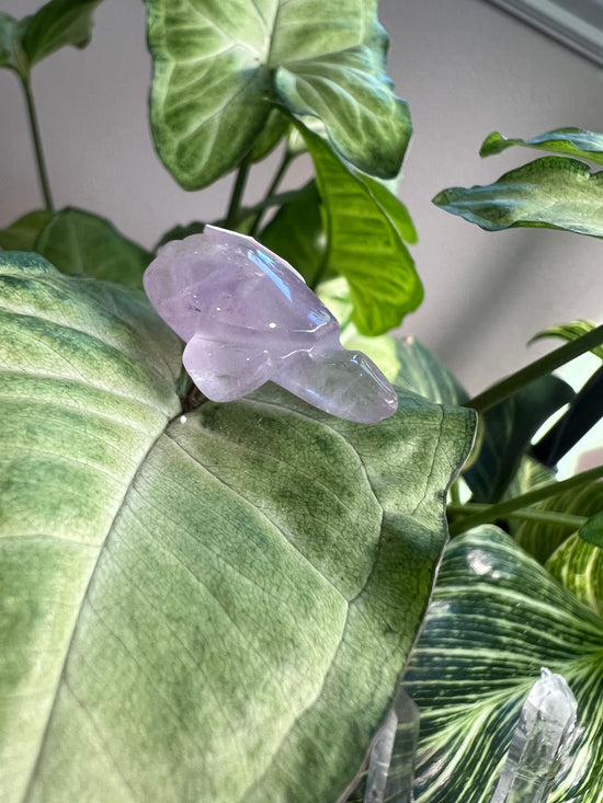 Mini Turtle Amethyst