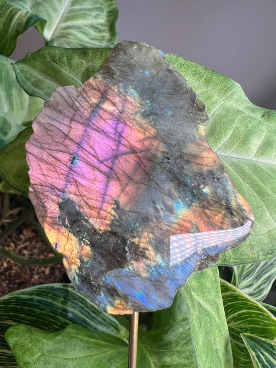 Pink Labradorite