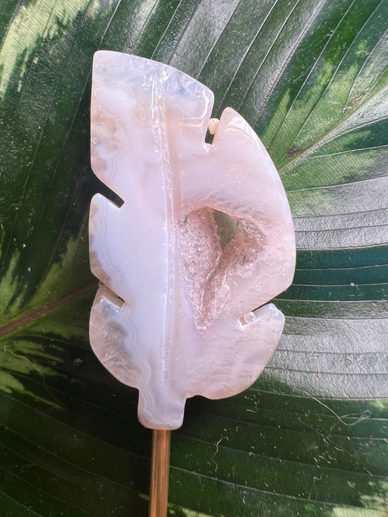 Flower Agate Leaf