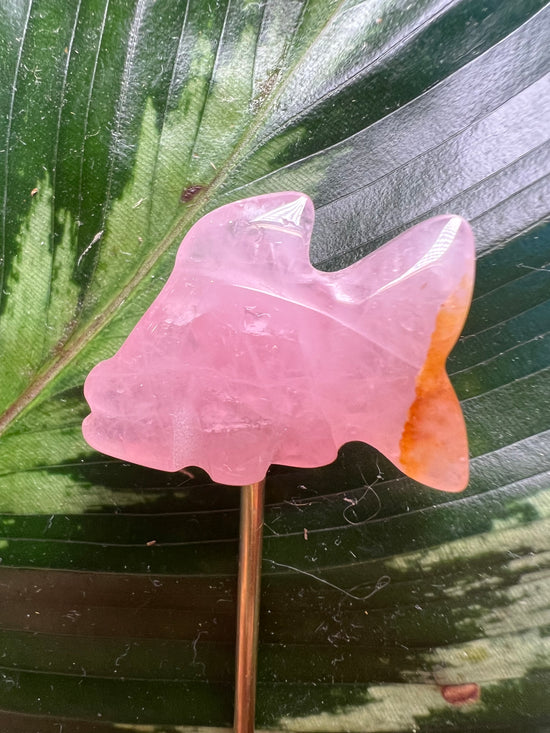 Mini Rose Quartz Goldfish