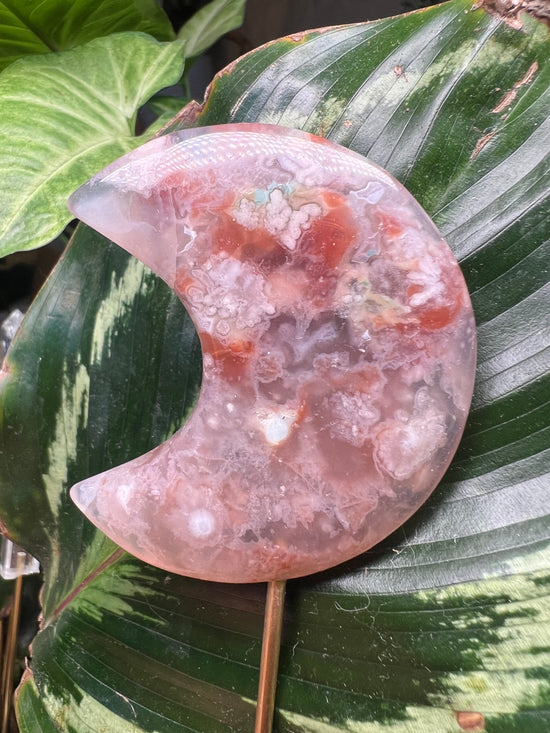 Flower Agate Moon Plant Crystal