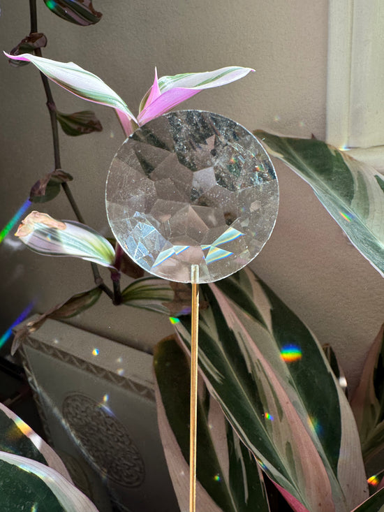 Suncatcher Star Flower Plant Crystal