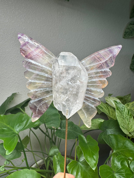 Priestess Fluorite and Quartz Large Butterfly