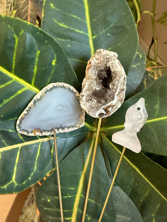 Reserved for Tiffany - 2 PC’s + Giveaway winner + Free Plant Crystal gift