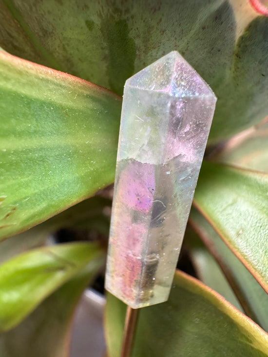 Reserved for Lindsey - Mini Aura Pc + FREE Mini lemurian