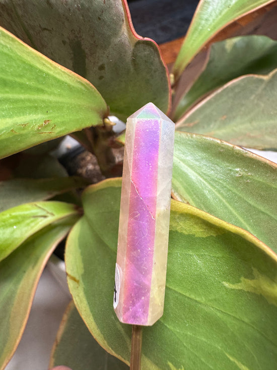 Mini Angel Aura Rose Quartz