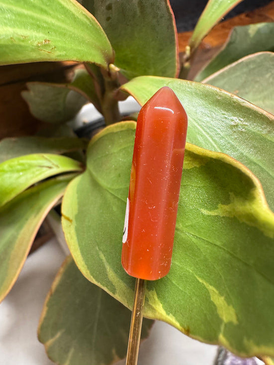 Mini Carnelian