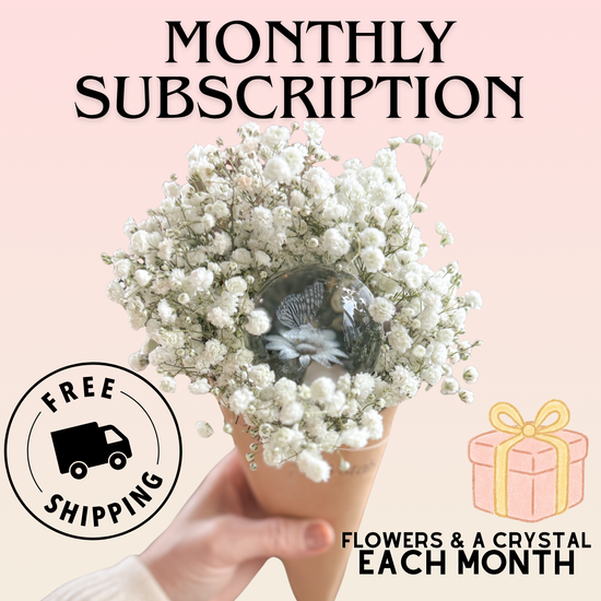 MONTHLY Subscription + FREE Shipping