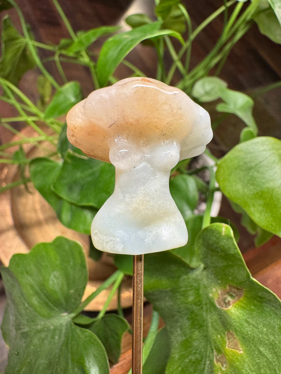 8/29 Mini Amazonite Mushroom Goddess