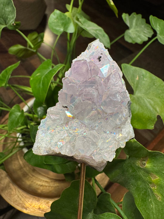 8/29 Amethyst Aura