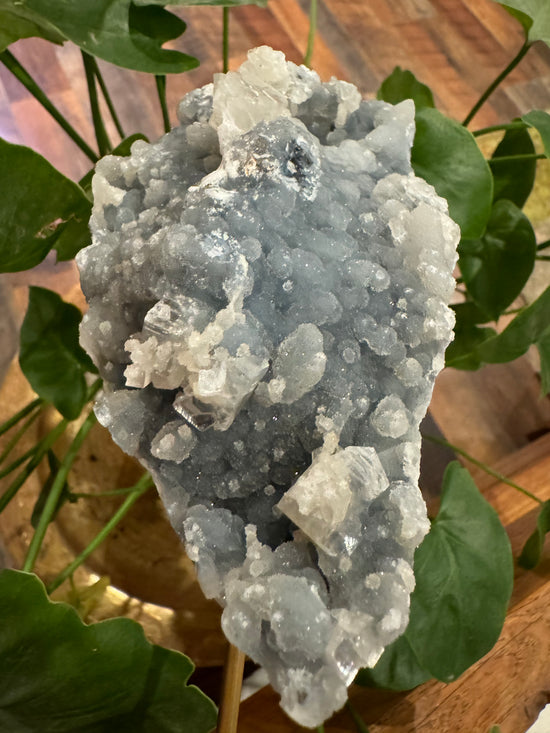 9/1 Blue Apophyllite