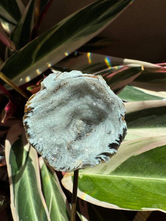 9/1 Mini Agate geode