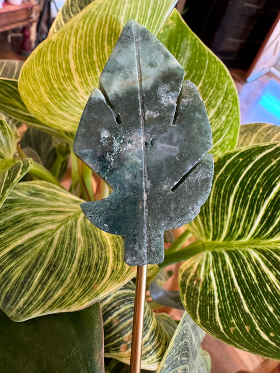 9/8 Moss Agate Leaf