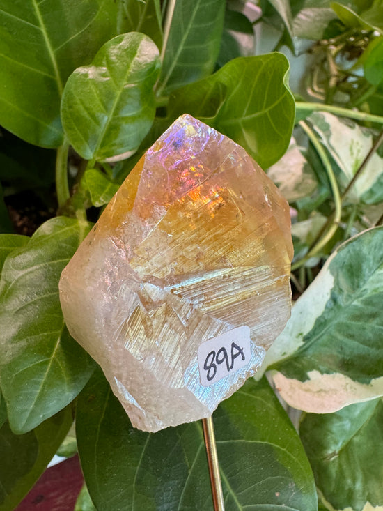 9/12 Angel Aura Citrine