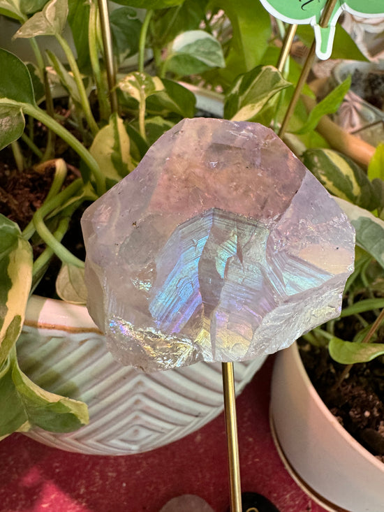 9/12 Angel Aura AMETHYST