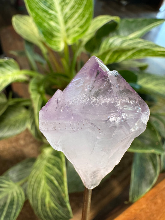 Reserved for Natalie - Mini Amethyst