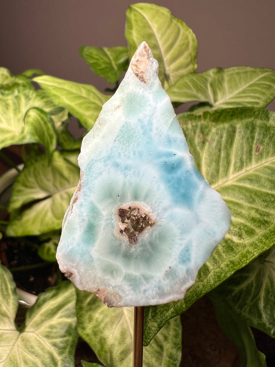 8/20 Larimar Plant Crystal