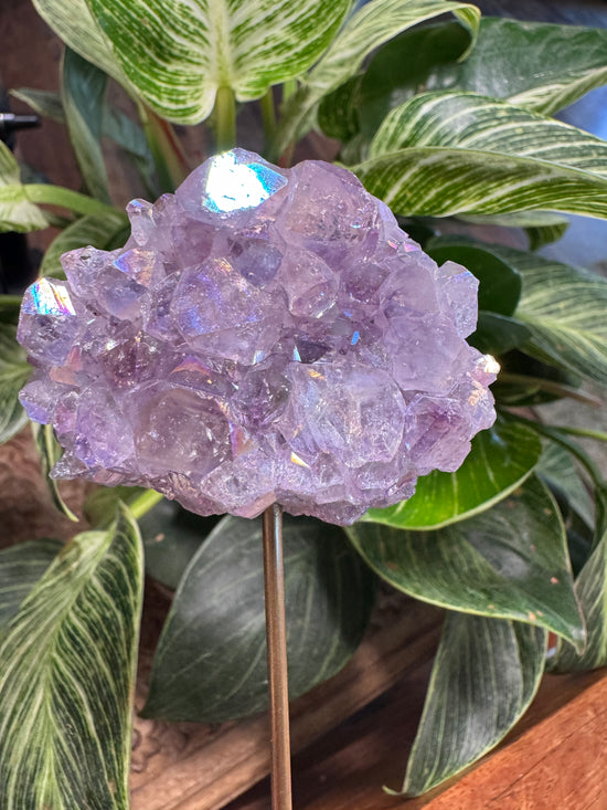 9/15 Aura Amethyst