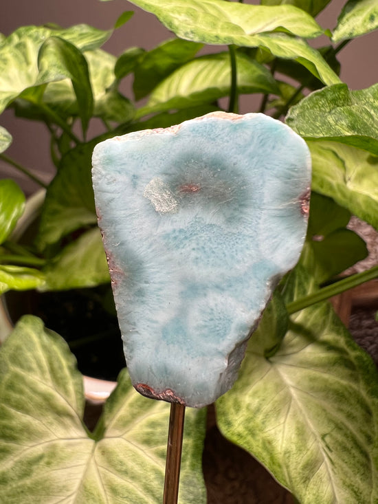 8/20 Larimar Plant Crystal