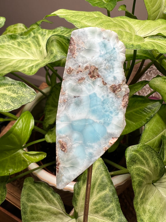 8/20 Larimar Plant Crystal