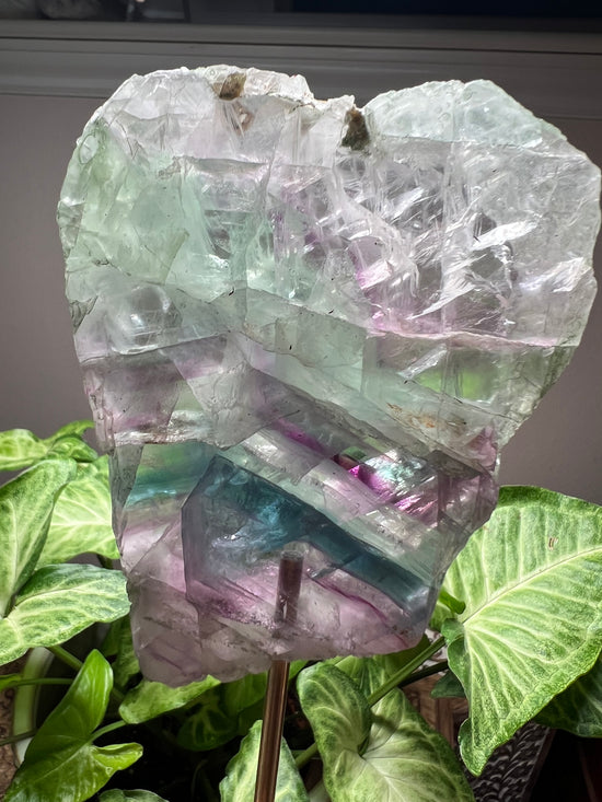 8/20 Rainbow Fluorite Plant Crystal