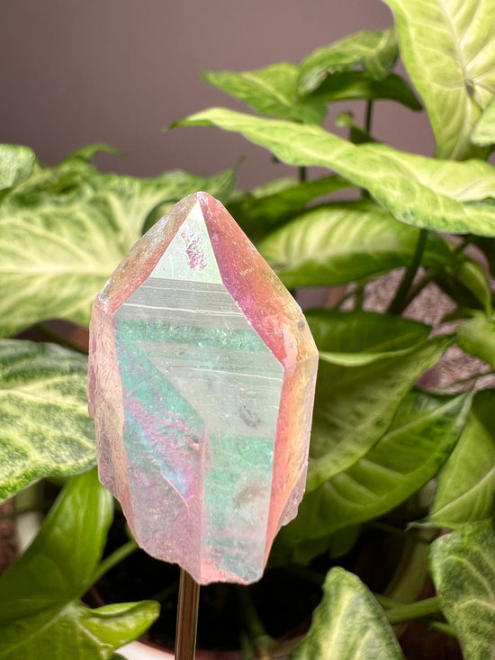 8/20 Angel Aura Plant Crystal