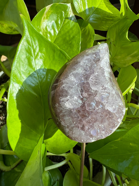 Agate Druzy Flame Plant Crystal