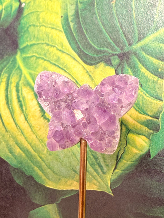 Amethyst Butterfly