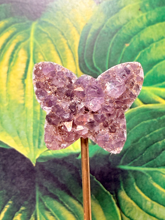 Amethyst Butterfly deep purple