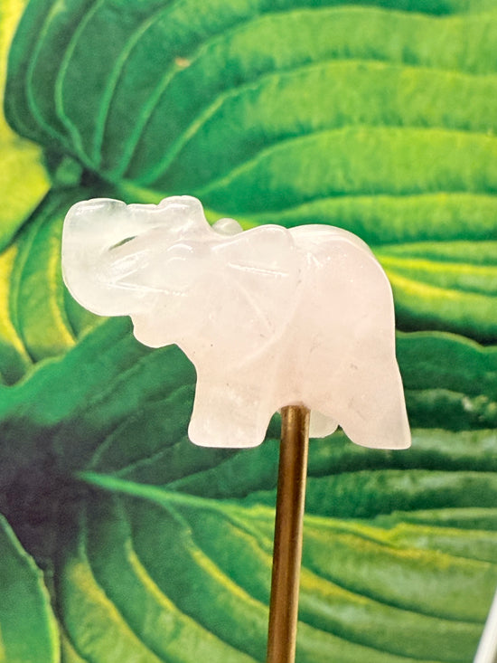 Lovey Rose Quartz Elephant Mini