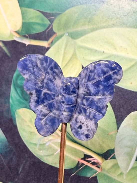 Blaze Sodalite Butterfly