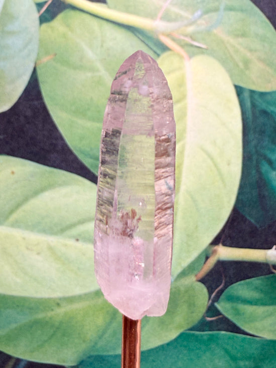 Veracruz Amethyst Mini Plant Crystal