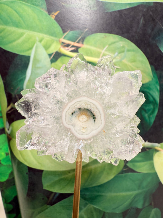 Lunara Amethyst Flower Stalactite