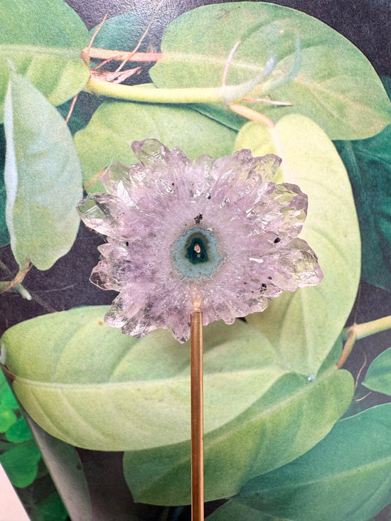Radiant Amethyst Flower Stalactite