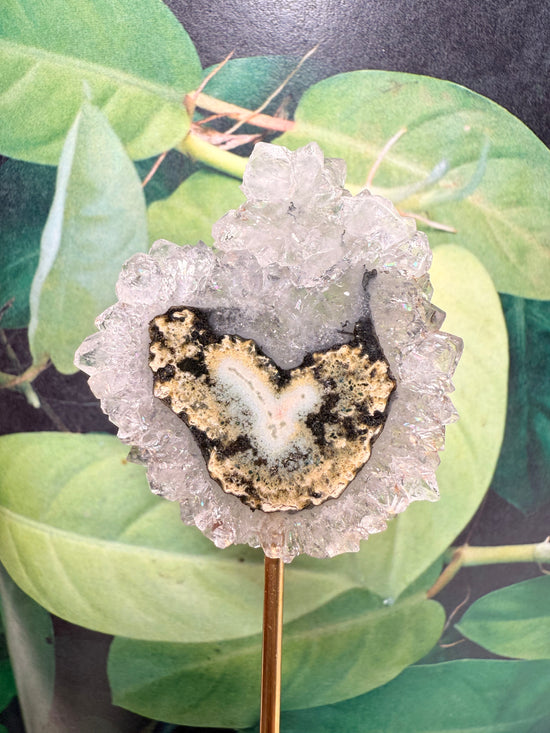 Astral Heart Quartz Flower Stalactite