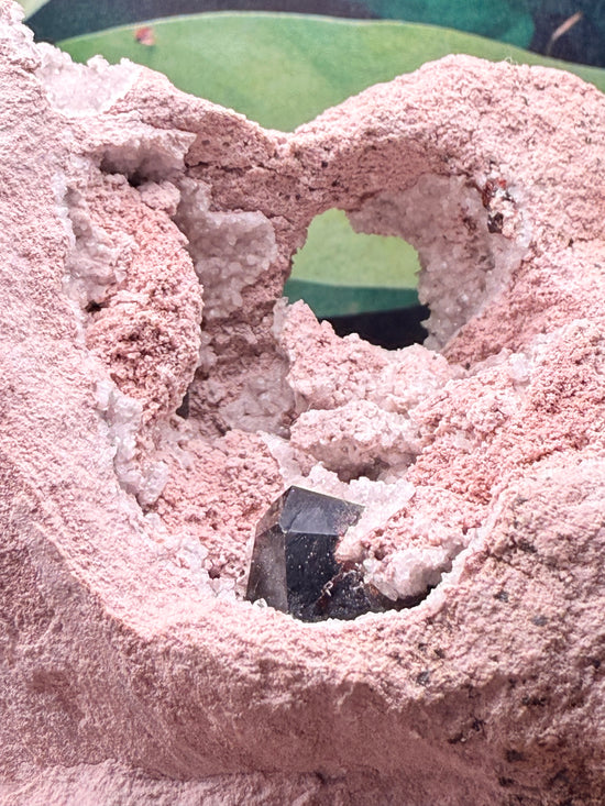 Aries Red Garnet Raw Freeform Plant Crystal