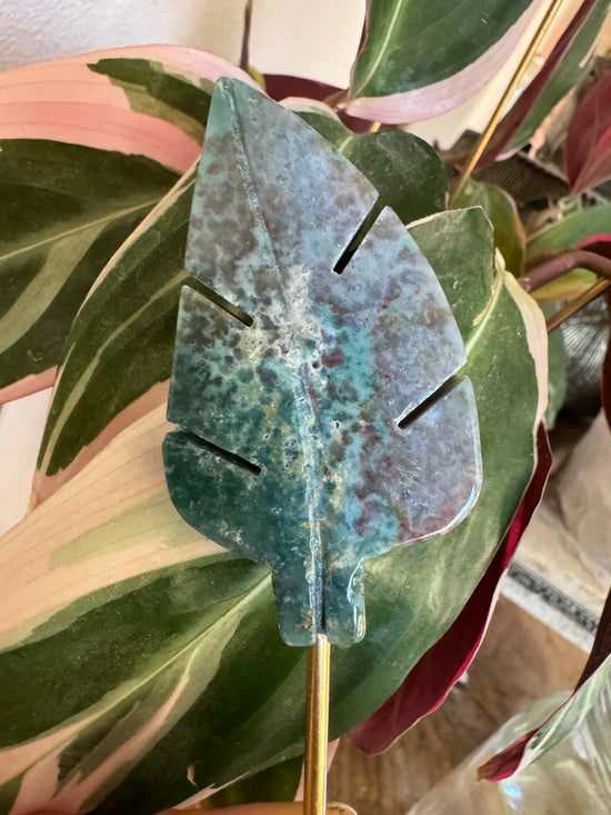 9/19 Ocean Jasper Leaf