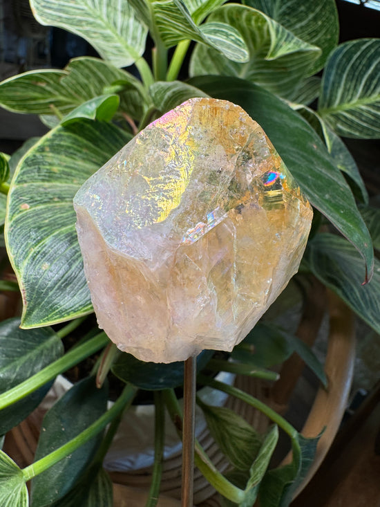 9/22 Angel Aura Citrine