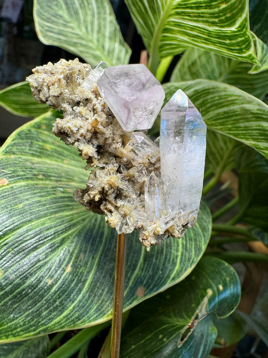 9/22 Veracruz Amethyst