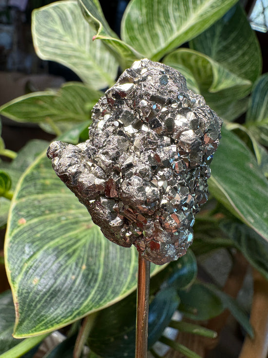 9/22 Mini Pyrite