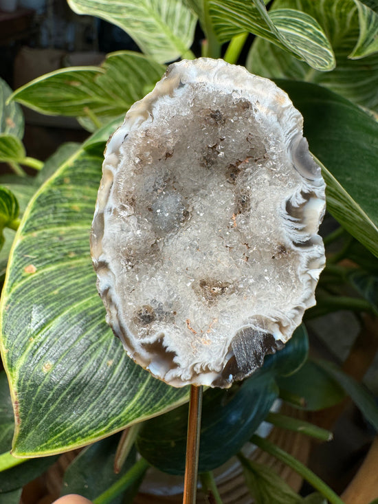 9/22 Mini Agate
