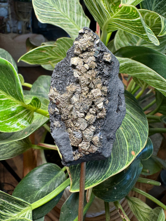 9/22 Pyrite