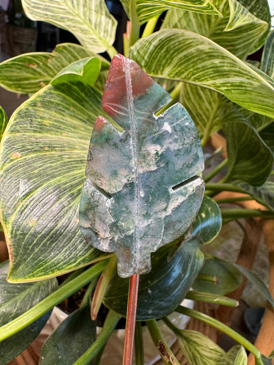 9/22 moss agate Leaf