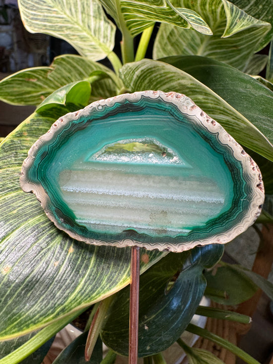 9/22 Green Agate